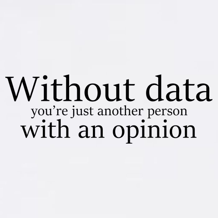 Without Data You're Just Another Person With An Opinion Garment-Dyed Sweatshirt
