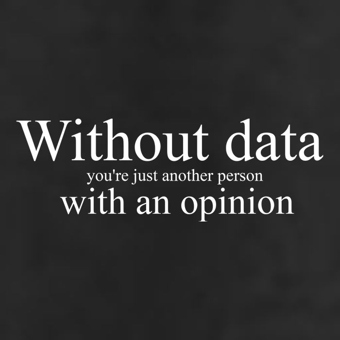 Without Data YouRe Just Another Person With An Opinion Beanie