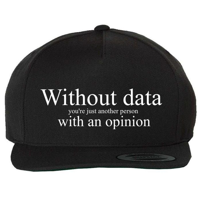 Without Data YouRe Just Another Person With An Opinion Wool Snapback Cap