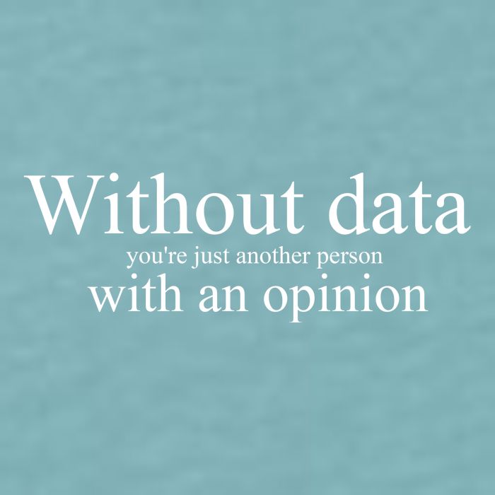Without Data YouRe Just Another Person With An Opinion Sueded Cloud Jersey T-Shirt