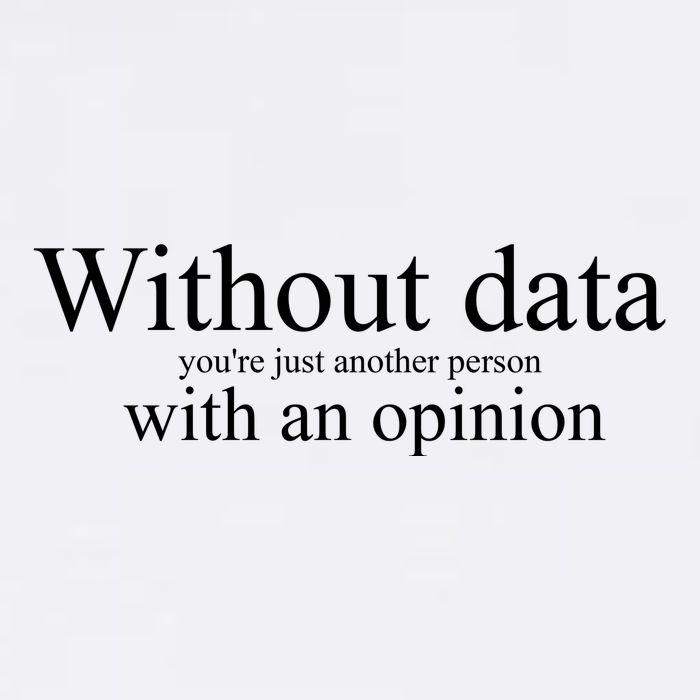 Without Data YouRe Just Another Person With An Opinion Garment-Dyed Sweatshirt