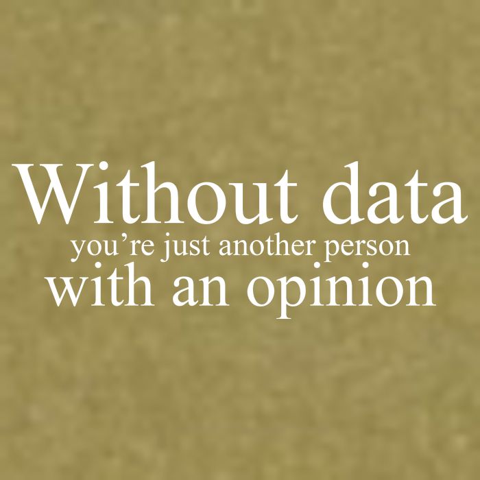 Without Data Youre Just Another Person With An Opinion Garment-Dyed Women's Muscle Tee