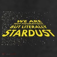We Are Not Figuratively But Literally Stardust 11oz C Handle Ceramic Mug