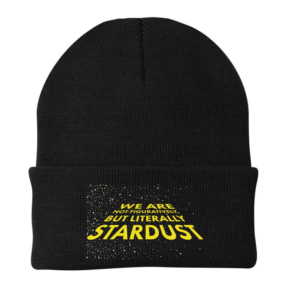 We Are Not Figuratively But Literally Stardust Beanie