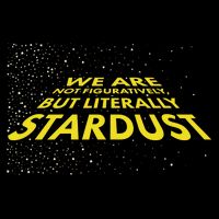 We Are Not Figuratively But Literally Stardust Flatbill Hat