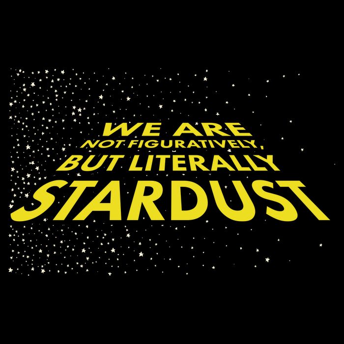 We Are Not Figuratively But Literally Stardust Flatbill Hat