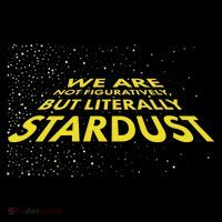 We Are Not Figuratively But Literally Stardust Youth Performance Sprint T-Shirt