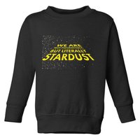 We Are Not Figuratively But Literally Stardust Toddler Sweatshirt