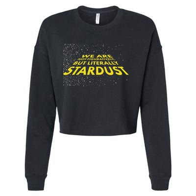 We Are Not Figuratively But Literally Stardust Cropped Pullover Crew