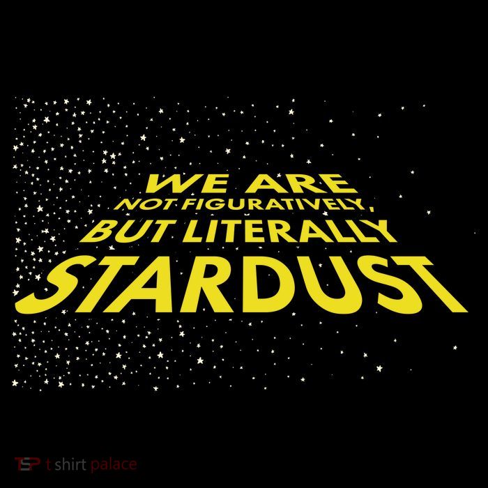 We Are Not Figuratively But Literally Stardust Kids T-Shirt