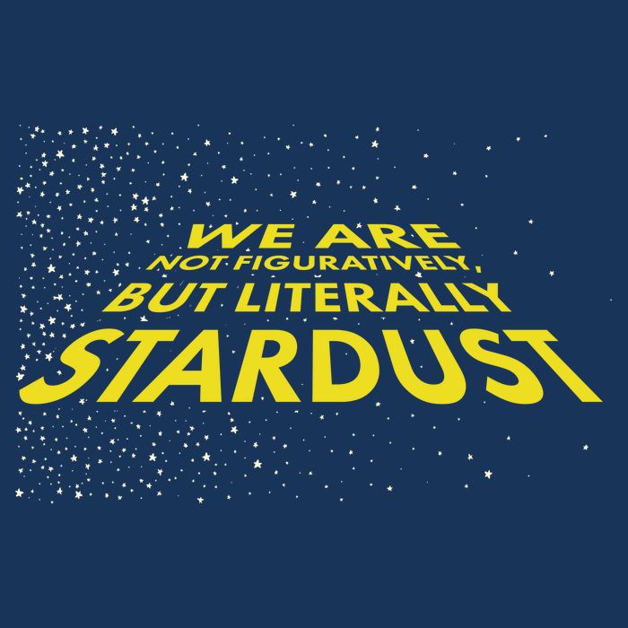 We Are Not Figuratively But Literally Stardust Infant Baby Jersey Bodysuit