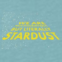 We Are Not Figuratively But Literally Stardust Sueded Cloud Jersey T-Shirt