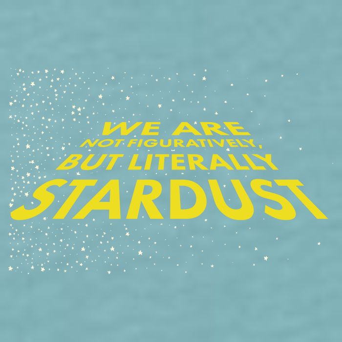 We Are Not Figuratively But Literally Stardust Sueded Cloud Jersey T-Shirt
