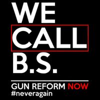 We Call B.S. Gun Reform Now #Neveragain Pom Pom 12in Knit Beanie