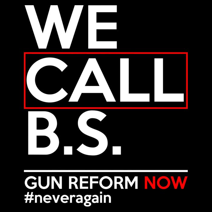We Call B.S. Gun Reform Now #Neveragain Pom Pom 12in Knit Beanie