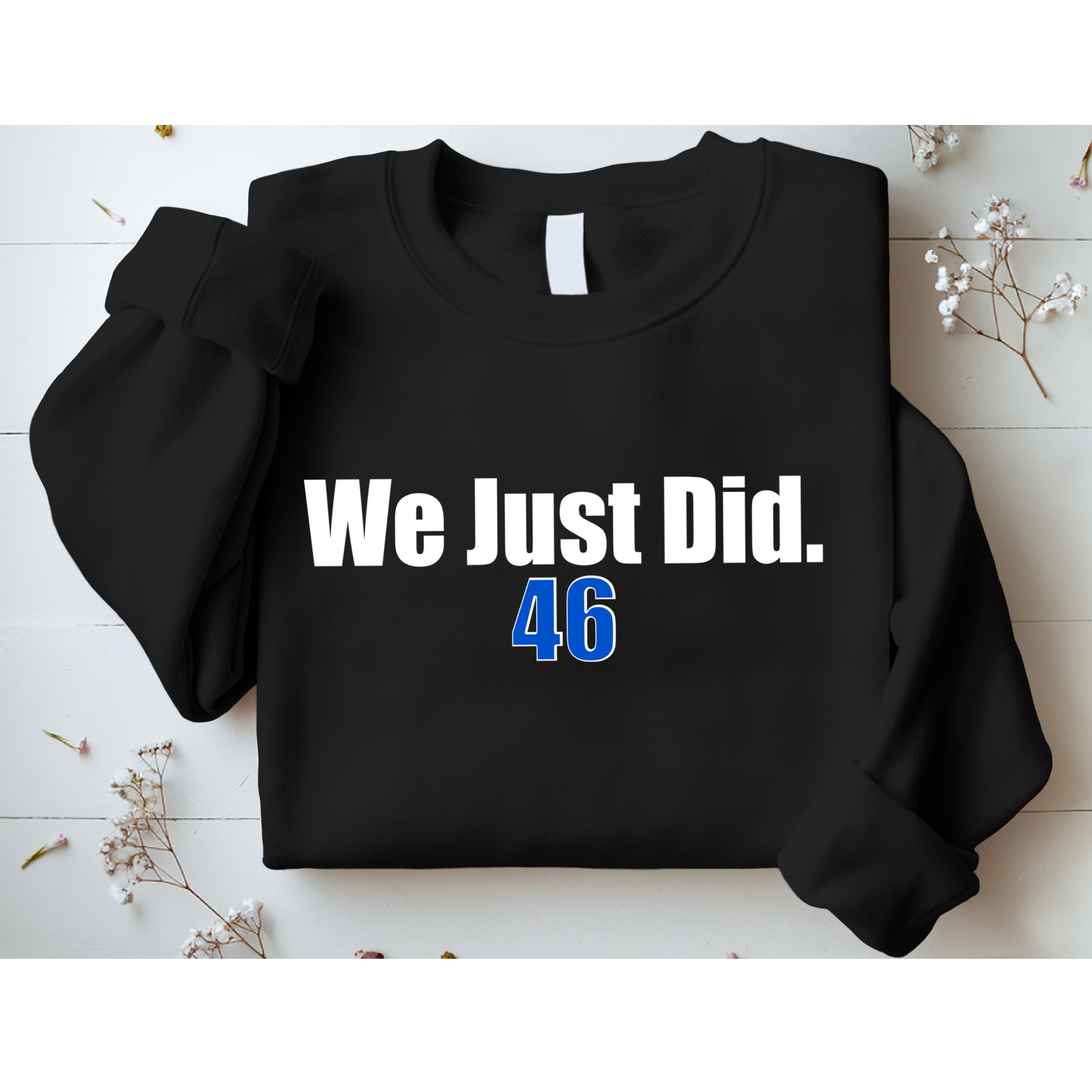 We Just Did 46th President Sweatshirt