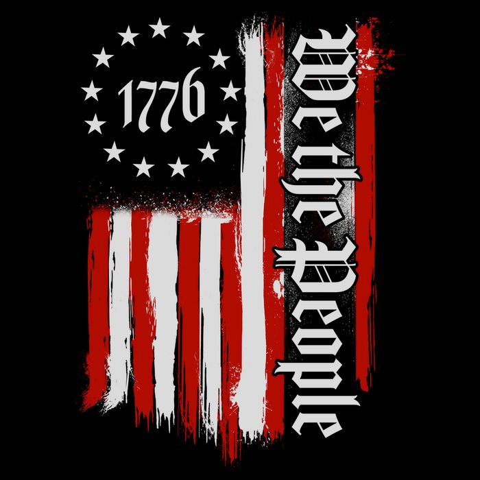 We The People 1776 Distressed USA American Flag T-Shirt