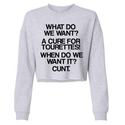 We Want A Cure For Tourettes Cropped Pullover Crew