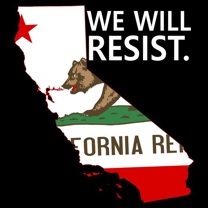 We Will Resist. California Flag Resistance Anti Trump Apron