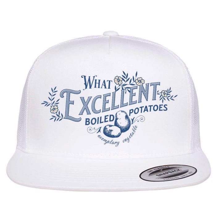 What Excellent Boiled Potatoes Meme Funny Book Lovers Flat Bill Trucker Hat