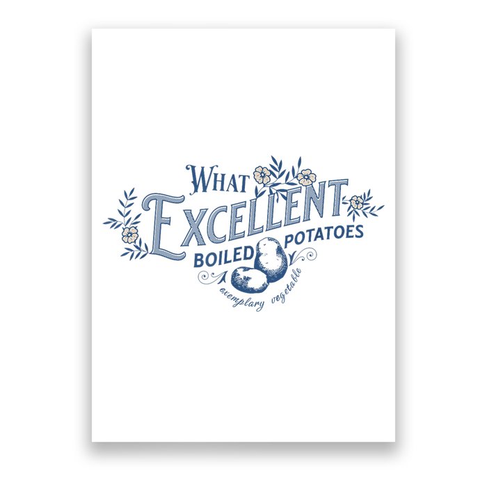 What Excellent Boiled Potatoes Meme Funny Book Lovers Poster