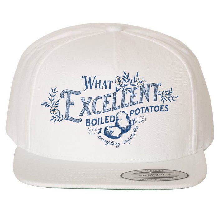 What Excellent Boiled Potatoes Meme Funny Book Lovers Wool Snapback Cap