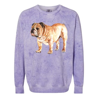 Watercolor English British Bulldog Gift Colorblast Crewneck Sweatshirt