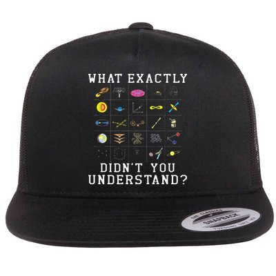 What Exactly Didn't You Understand Astrology Astrophysics Flatbill Hat