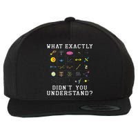 What Exactly Didn't You Understand Astrology Astrophysics Wool Snapback Cap