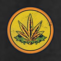 Weed Coin Tumbler