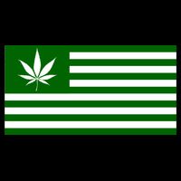 Weed Green America Flag Flatbill Hat