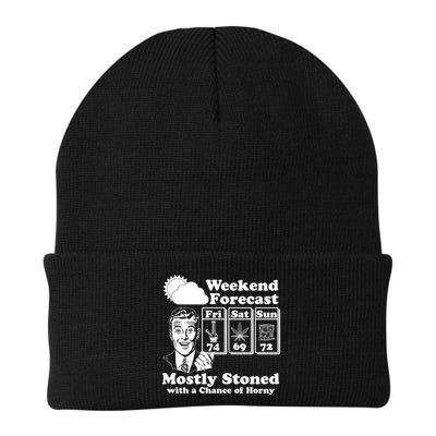 Weekend Forecast Mostly Stone With A Chance of Horny Vintage Retro Beanie