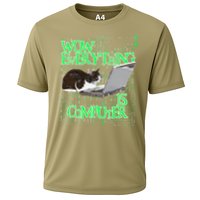 Wow Everything Is Computer Cat Performance Shirt