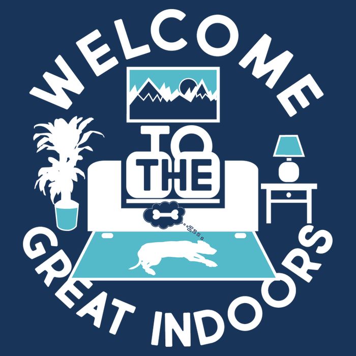 Welcome To The Great Indoors Ladies Long Sleeve Shirt