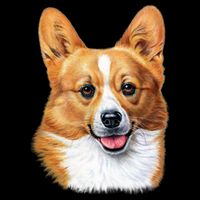 Welsh Corgi Dog Portrait Apron