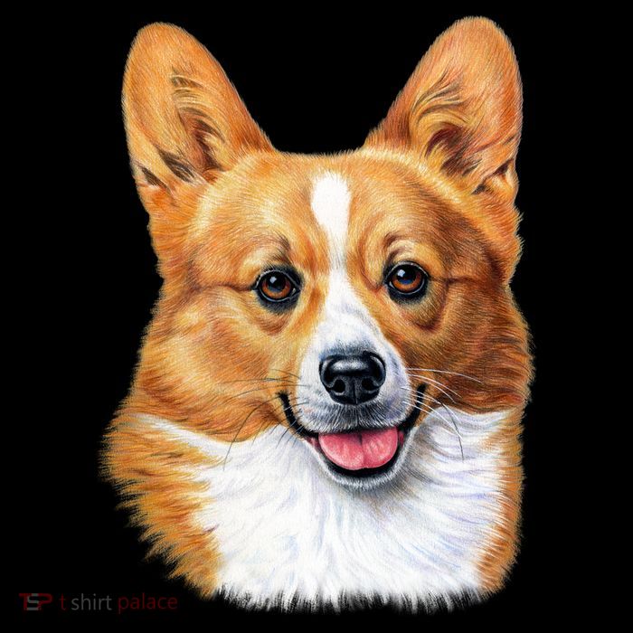 Welsh Corgi Dog Portrait Drawstring Bag