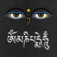 Wisdom Eyes Om Mani Padme Hum Buddha Buddhist Dalai Lama Adult Drive Performance Visor