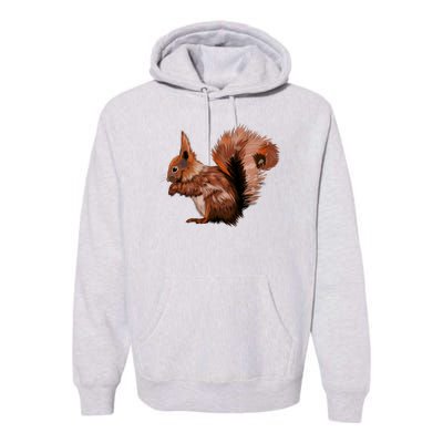 Watercolor Eurasian Red Squirrel Premium Hoodie