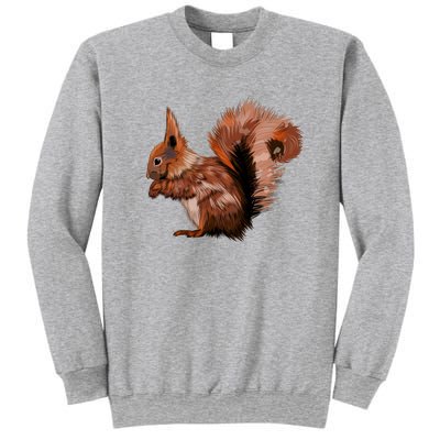 Watercolor Eurasian Red Squirrel Sweatshirt