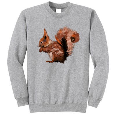 Watercolor Eurasian Red Squirrel Tall Sweatshirt