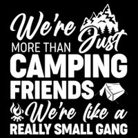We're More That Camping Friends We're Like a Really Small Gang Cropped Pullover Crew