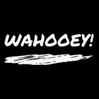 Wahooey! Excitement Unleashed. Shout It Out 16 in Basic Backpack