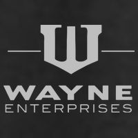 Wayne Enterprises Adult Drive Performance Visor