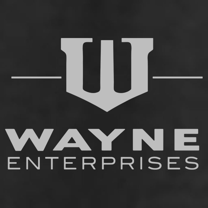 Wayne Enterprises Adult Drive Performance Visor