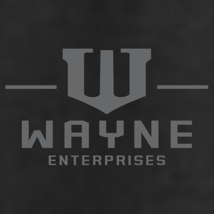 Wayne Enterprises Adult Drive Performance Visor
