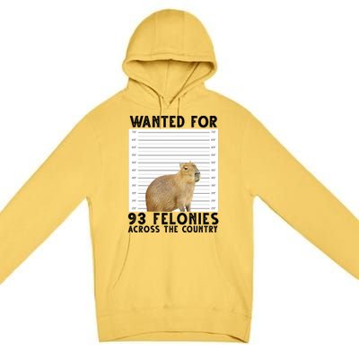 Wanted For 93 Felonies Across The Country Capybara Mugshot Premium Pullover Hoodie