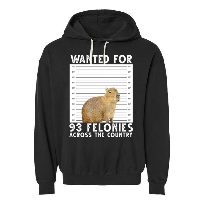 Wanted For 93 Felonies Across The Country Capybara Mugshot Garment-Dyed Fleece Hoodie