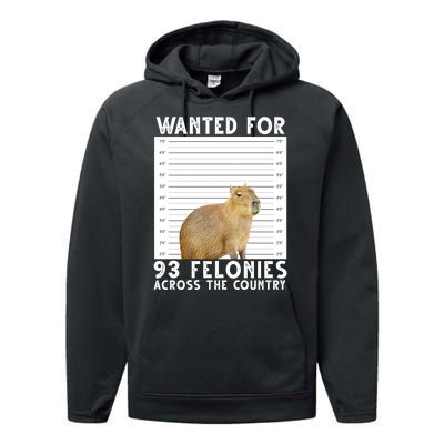 Wanted For 93 Felonies Across The Country Capybara Mugshot Performance Fleece Hoodie