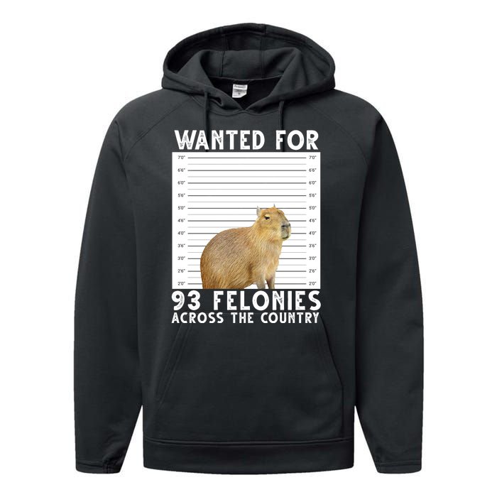 Wanted For 93 Felonies Across The Country Capybara Mugshot Performance Fleece Hoodie