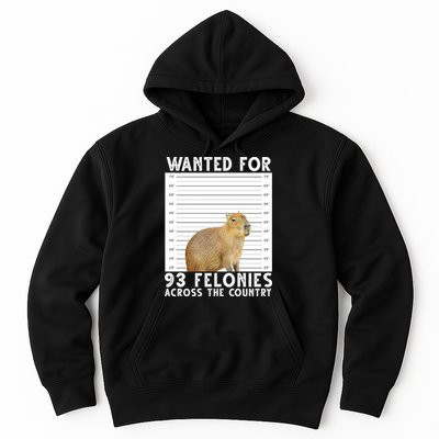 Wanted For 93 Felonies Across The Country Capybara Mugshot Hoodie